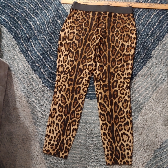 Dolce Gabbana Leopard-print charmeuse leggings Sz 48 US 16 $1195 - Picture 6 of 7